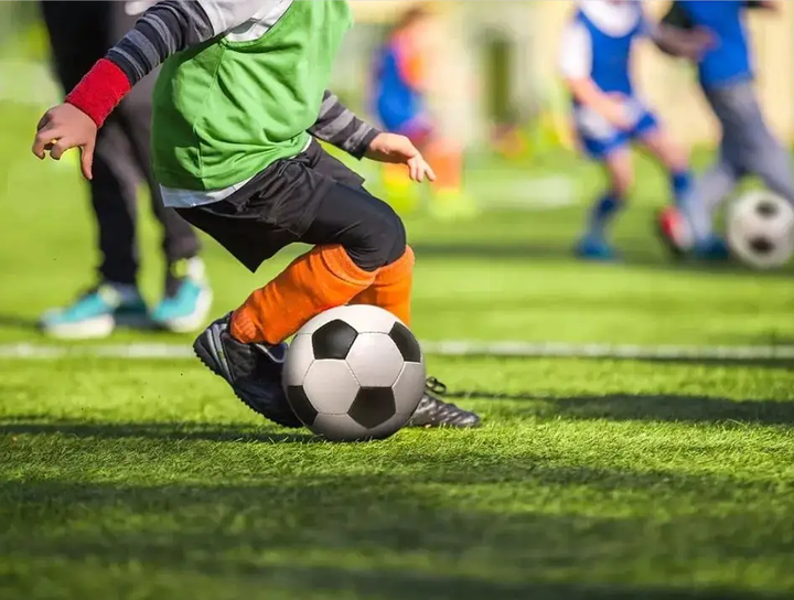 裁判主导节 裁判主导节