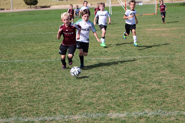 洛杉矶湖人 洛杉矶湖人