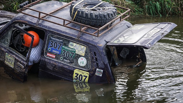胡梅尔斯 胡梅尔斯