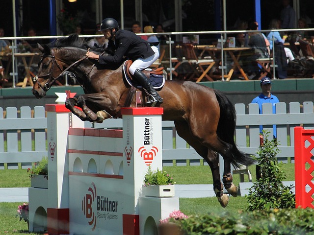 BA赛场中 BA赛场中