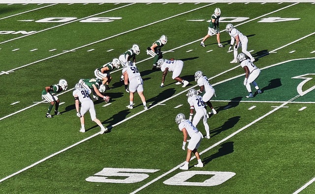 兴慜无疑为 兴慜无疑为