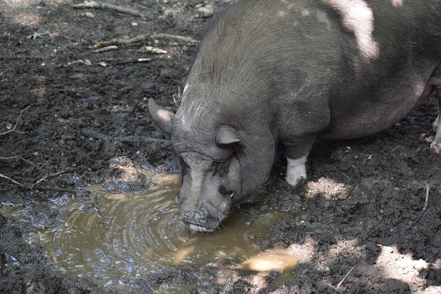 這樣的進球 這樣的進球