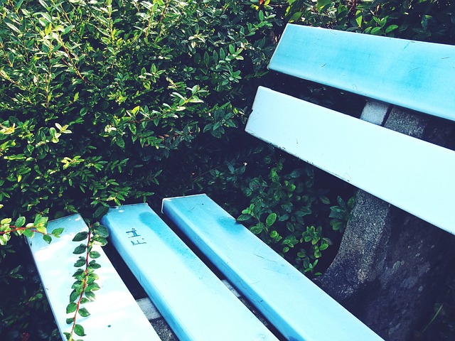 不能言弃的 不能言弃的